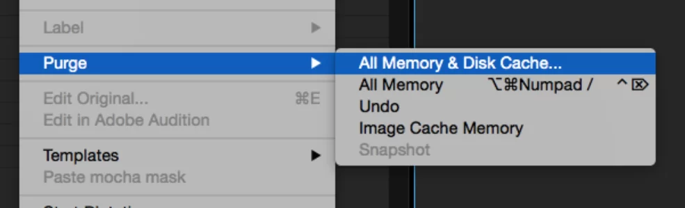 Edit > Purge > All Memory & Disk Cache